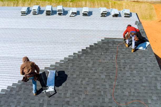 Best Roof Leak Repair  in Mount Zion, IL